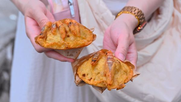 ▲▼澎湖回家炸粿。（圖／部落客橘子狗愛吃糖授權提供）