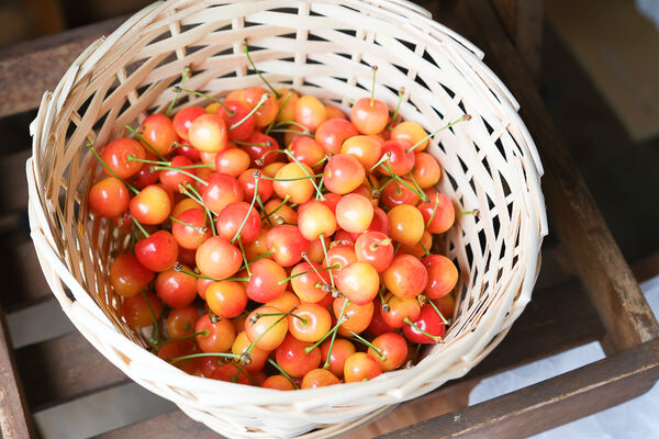 ▲▼辻さくらんぼ農園（辻櫻桃農場）。（圖／部落客飛天璇的口袋授權提供）