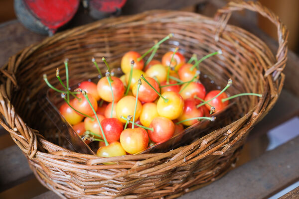 ▲▼辻さくらんぼ農園（辻櫻桃農場）。（圖／部落客飛天璇的口袋授權提供）