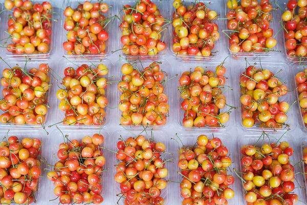 ▲▼辻さくらんぼ農園（辻櫻桃農場）。（圖／部落客飛天璇的口袋授權提供）