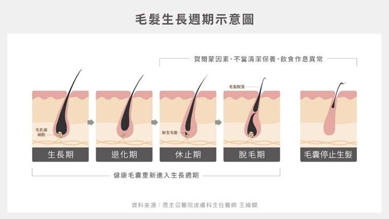 ▲頭皮保養      。（圖／翻攝自IG）