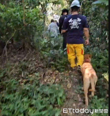 ▲滿州消防分隊帶著道場飼養黃色土狗找到迷路黃姓尼姑。（圖／翻拍）