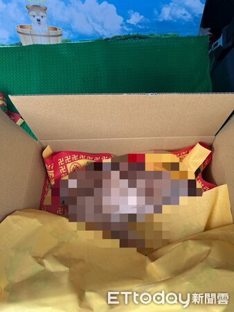 ▲▼雲林女租客惡意破壞水龍頭、棄養寵物兔導致餓死。（圖／記者游瓊華翻攝）