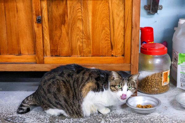 ▲▼卯澳船長平價小吃。（圖／部落客陳小可的吃喝玩樂授權提供）