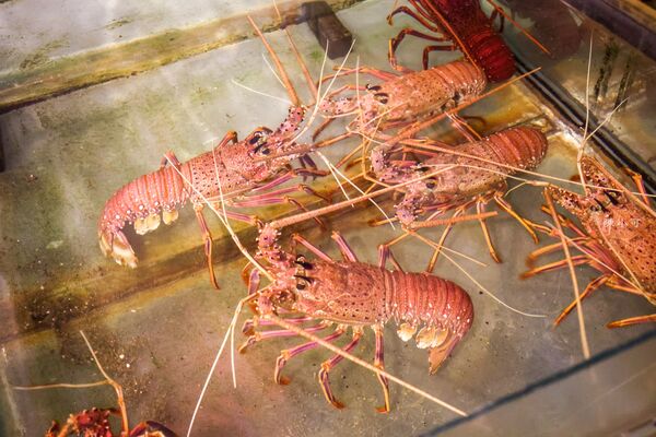 ▲▼卯澳船長平價小吃。（圖／部落客陳小可的吃喝玩樂授權提供）