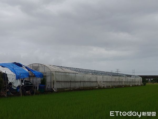 ▲▼高雄丹娜絲颱風農損破1.1億！爭取第4波現金救助　15品項出爐。（圖／記者賴文萱翻攝）