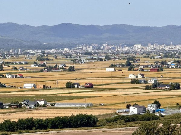 ▲▼キトウシの森きとろん。（圖／部落客小虎食夢網授權提供）