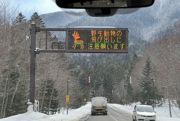▲▼日本冬天北海道雪地自駕旅行。（圖／部落客CJ夫人授權提供）