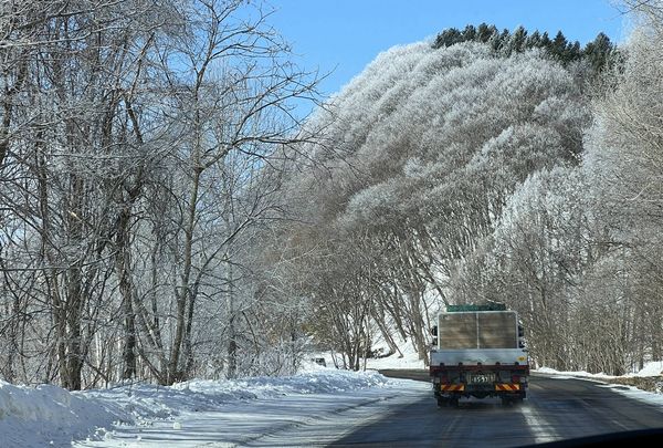 ▲▼日本冬天北海道雪地自駕旅行。（圖／部落客CJ夫人授權提供）
