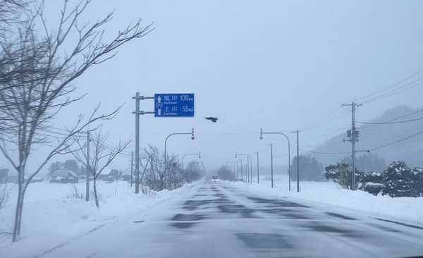 ▲▼日本冬天北海道雪地自駕旅行。（圖／部落客CJ夫人授權提供）