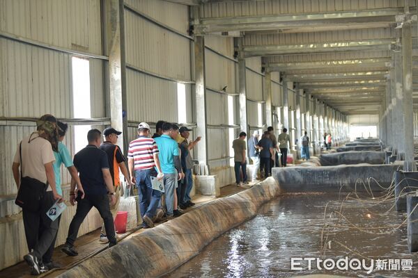 ▲億興企業的魚電共生，綠能養殖白蝦             。（圖／記者吳奕靖翻攝）