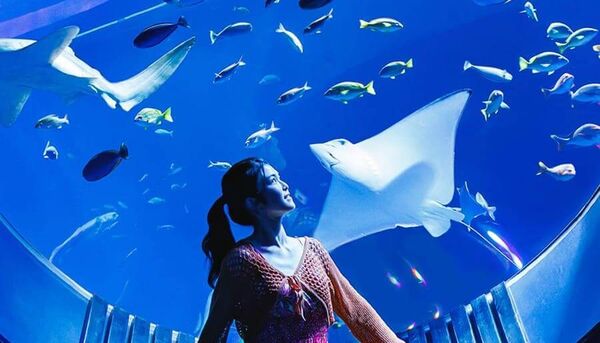 ▲▼最適合情侶約會的沖繩景點。（圖／ReadyGo提供）