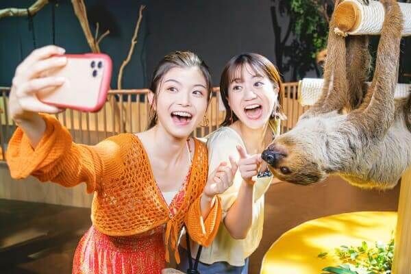 ▲▼最適合情侶約會的沖繩景點。（圖／ReadyGo提供）