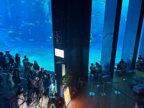 ▲▼最適合情侶約會的沖繩景點。（圖／ReadyGo提供）