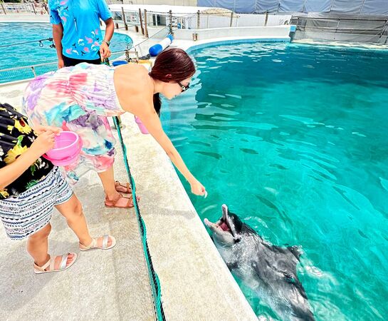 ▲▼最適合情侶約會的沖繩景點。（圖／ReadyGo提供）