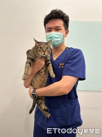 ▲。（圖／Threads@neko.ahu提供，請勿隨意翻拍，以免侵權。）