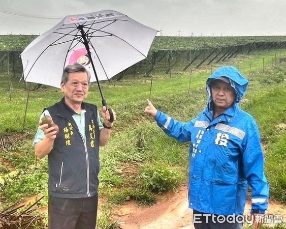 ▲百香果納入丹娜絲颱風災害現金救助。（圖／馬文君服務團隊提供）