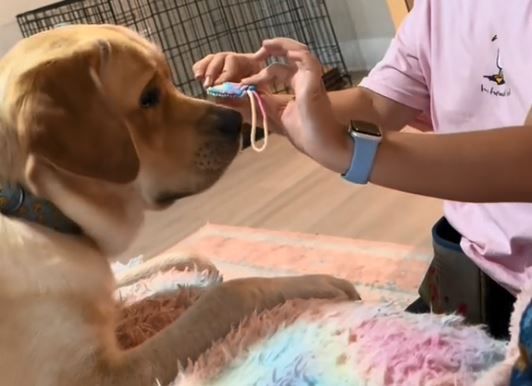 ▲。（圖／翻攝自TikTok／@chronicallymadison）