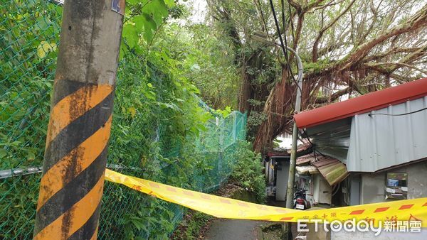 ▲▼             北市文山區一棵12公尺高的樹木傾倒，壓到一旁民宅。（圖／記者黃彥傑翻攝，下同）