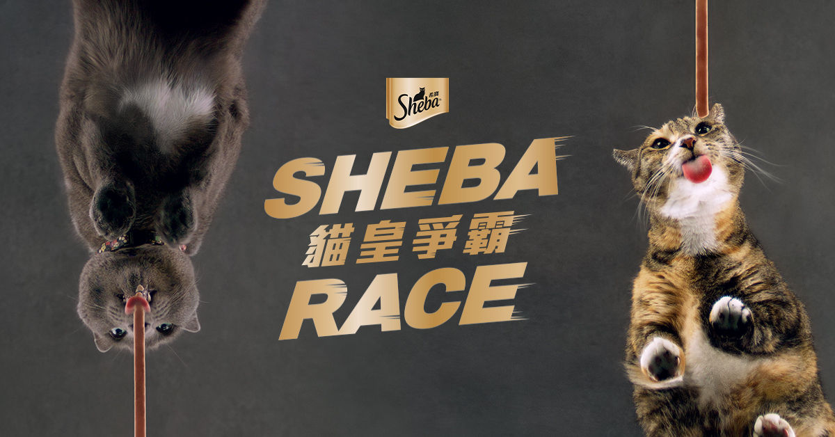 貓皇爭霸之美味吃相大比拼！揪你家的貓開吃Sheba®希寶®爽拿貓抓墊＋momo禮券