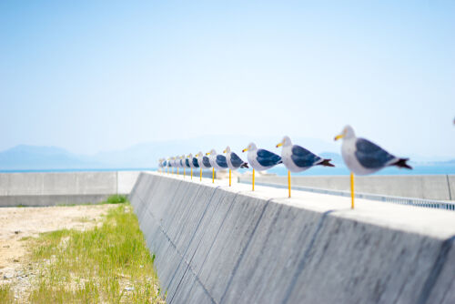 香川出發逛展去 瀨戶內國際藝術祭 錯過再等３年（圖／shutterstock）