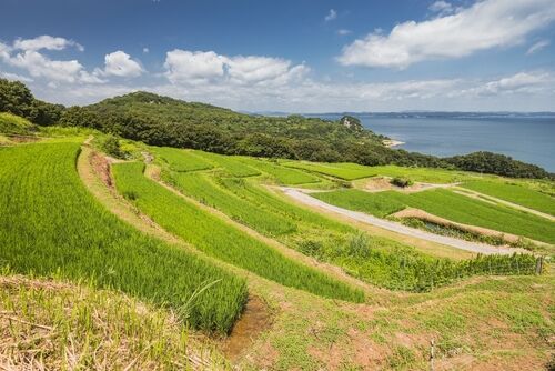 香川出發逛展去 瀨戶內國際藝術祭 錯過再等３年（圖／shutterstock）