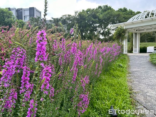 ▲▼花蓮秧悦美地度假酒店。（圖／記者黃凱翊攝）