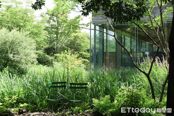▲O’Sulloc雪綠茶博物館（오설록티뮤지엄）。（圖／記者彭懷玉攝）