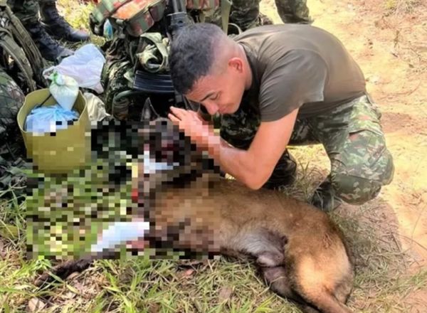重傷仍爬回領犬員身邊！桑松用生命守護36名士兵與數百村民。（翻攝自X @Ingenieros_EJC）