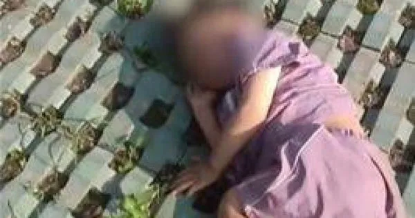 大陸江蘇省杭州市一名3歲男童從18樓墜下，竟奇跡生還，消息引發關注。（圖／翻攝自微博）