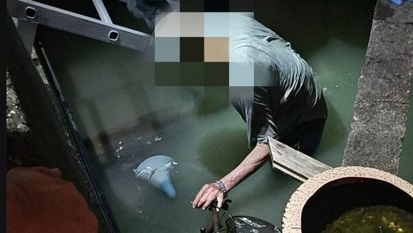 ▲阿公騎單車摔落水溝平安獲救。（圖／警方提供）