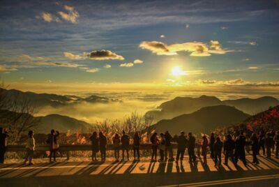 阿里山自駕2日玩法提案