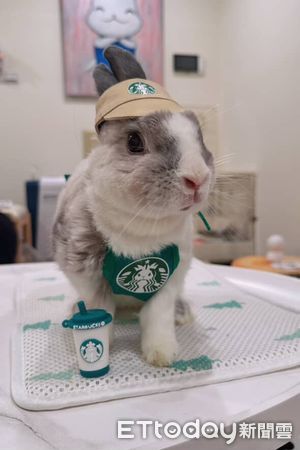▲。（圖／Threads@cotton.bunny.0907提供）