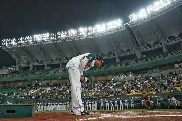 ▲▼  魔鷹           。（圖／台鋼雄鷹提供）