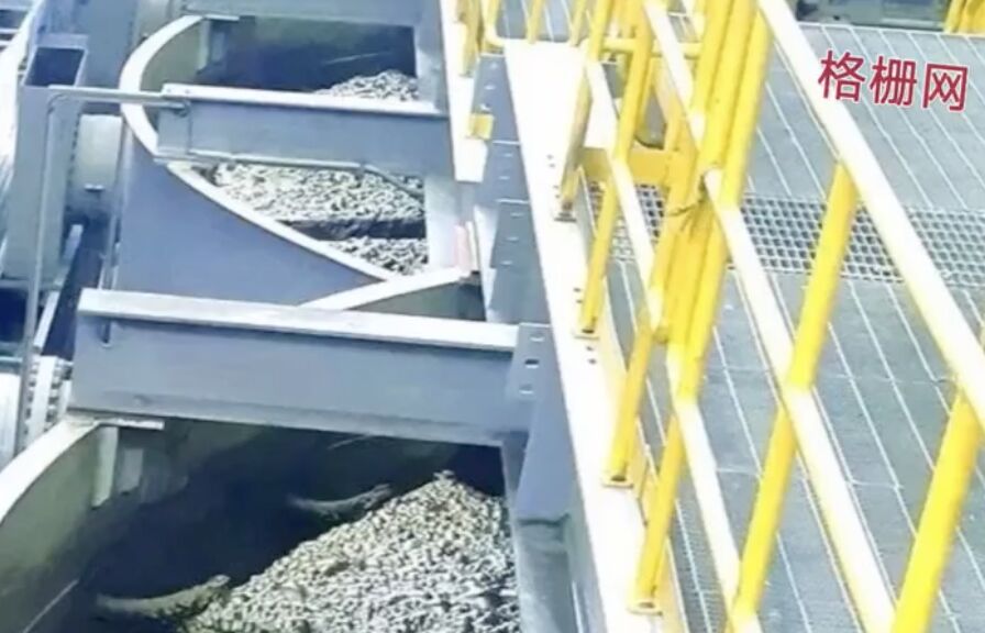 ▲大陸東北大學6名學生在參學過程中掉入滿是礦漿的浮選槽內溺亡。（圖／翻攝微博）