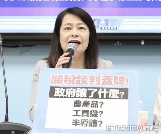 ▲▼國民黨團召開 726出門投下不同意讓 我們一起  打破關稅黑箱 保護幼童 救回民主 記者會 許宇甄 翁曉玲。（圖／記者屠惠剛攝）