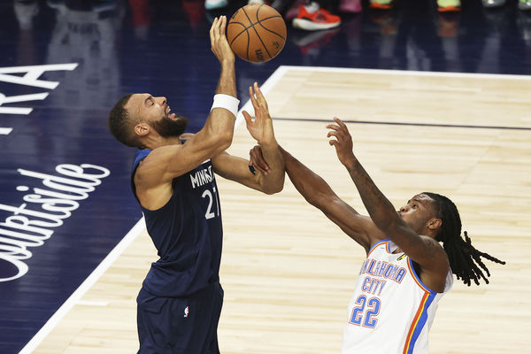 ▲▼灰狼戈貝爾。（圖／達志影像／美聯社）