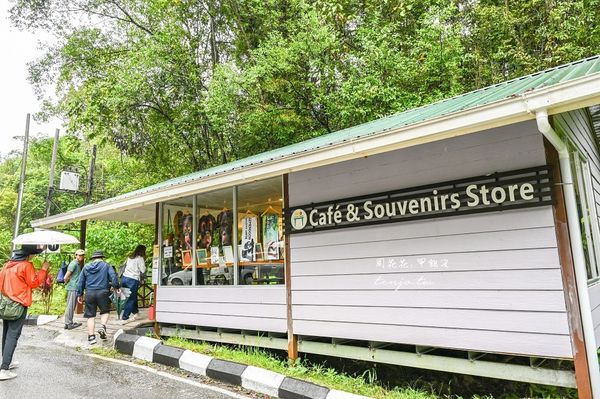 ▲▼Semenggoh Nature Reserve 實蒙谷野生動物保育中心。（圖／部落客周花花授權提供）