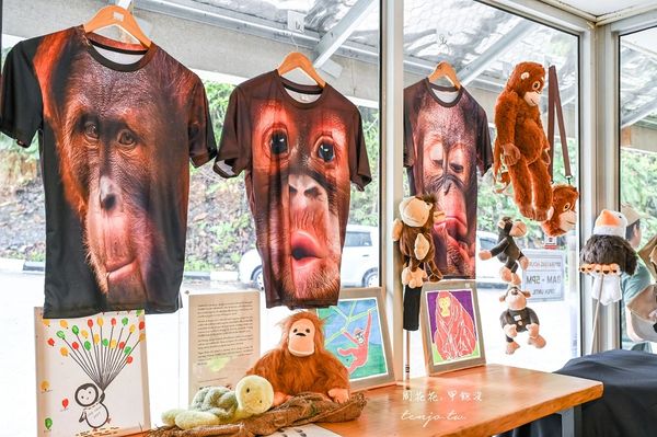 ▲▼Semenggoh Nature Reserve 實蒙谷野生動物保育中心。（圖／部落客周花花授權提供）