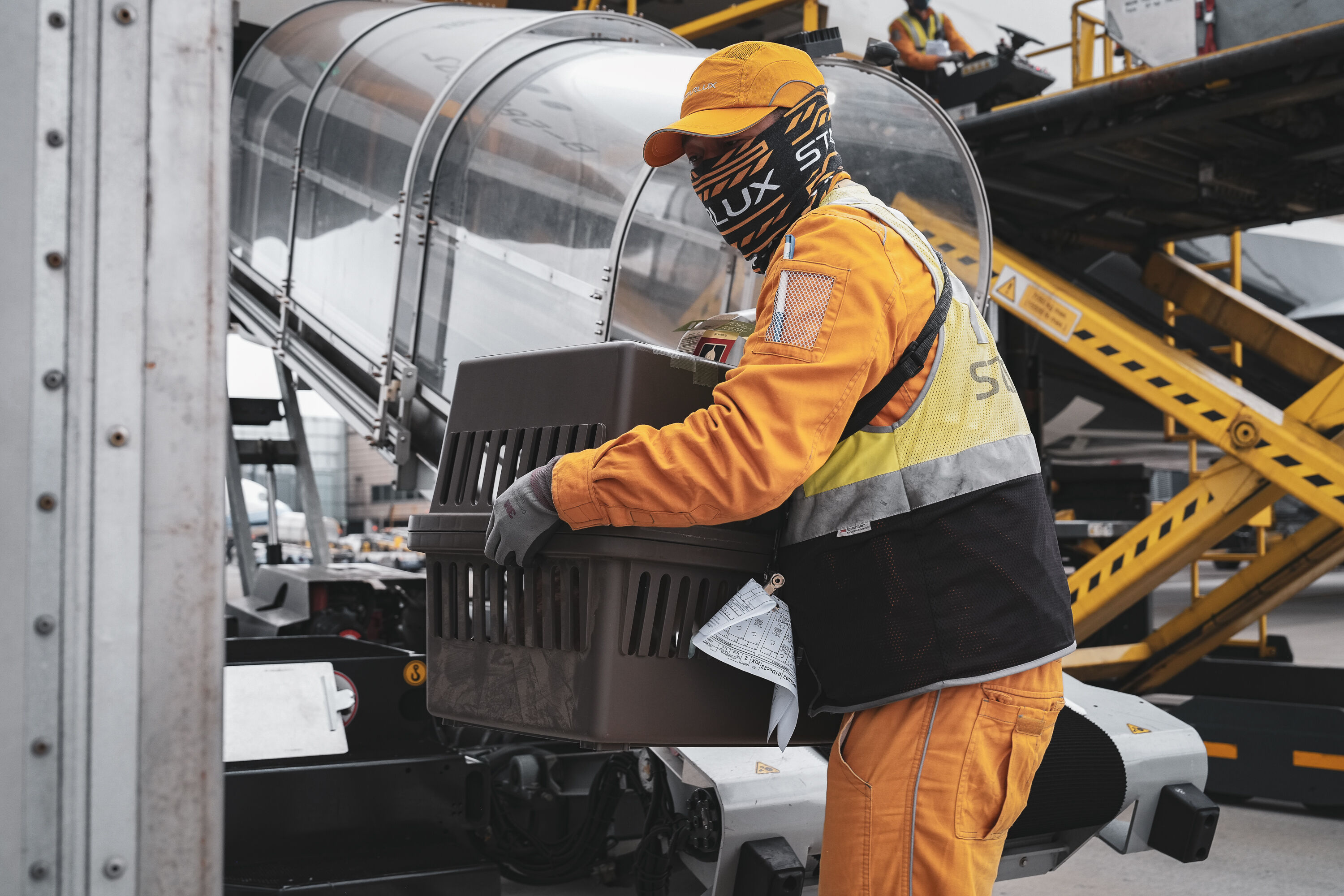 ▲▼星宇航空,活生動物運輸認證,領先台灣航空。（圖／星宇航空提供）