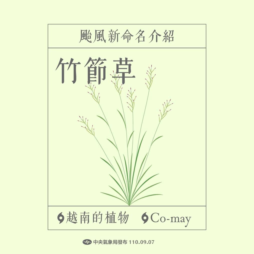 ▲中央氣象署解釋竹節草命名由來。（圖／中央氣象署提供）