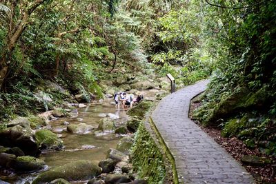 北市2條消暑步道　溪水相伴、賞瀑布