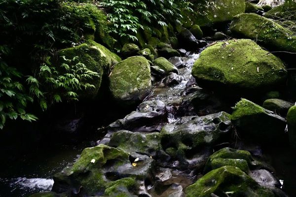 ▲北市兩條親水步道。（圖／大地處提供）