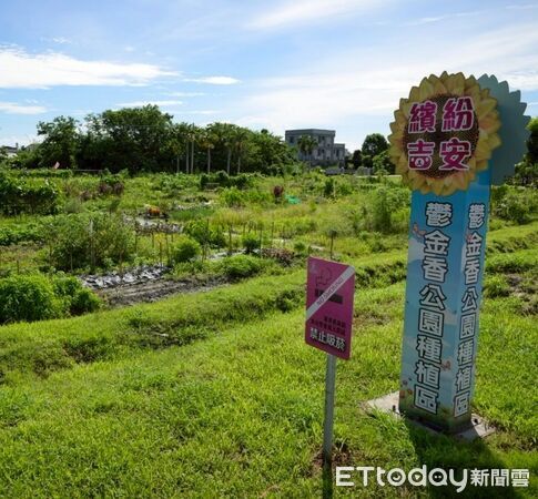 ▲▼開放鬱金香公園種植體驗區後，為許多鄉親的餐桌增添蔬食佳餚，讓許多人艷羨且引頸期待。（圖／吉安鄉公所提供，下同）