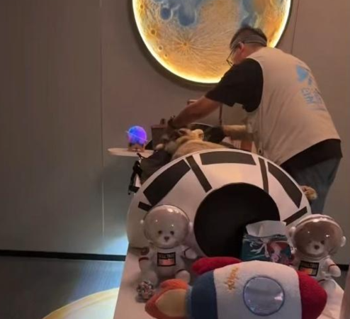 ▲寵物店第一時間未將六六送醫。（圖／翻攝自極目新聞）