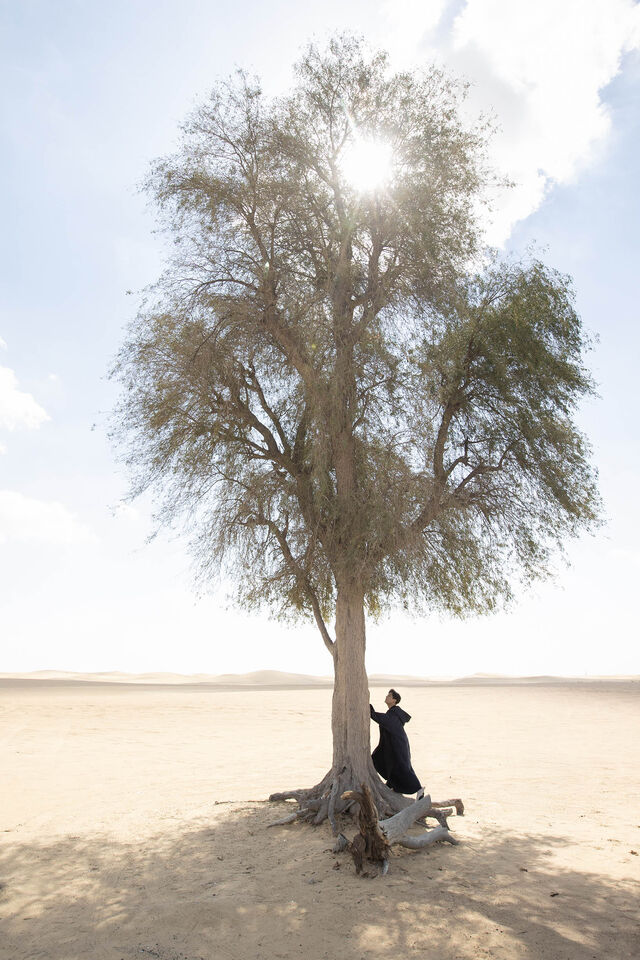 ▲▼張信哲〈為靠近而遠離〉。（圖／潮水音樂提供）