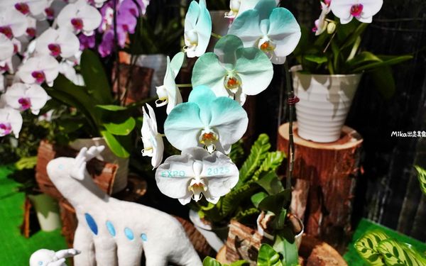 ▲▼大阪萬國博覽會｜Tech World 台灣館。（圖／部落客Mika出走美食日誌授權提供）