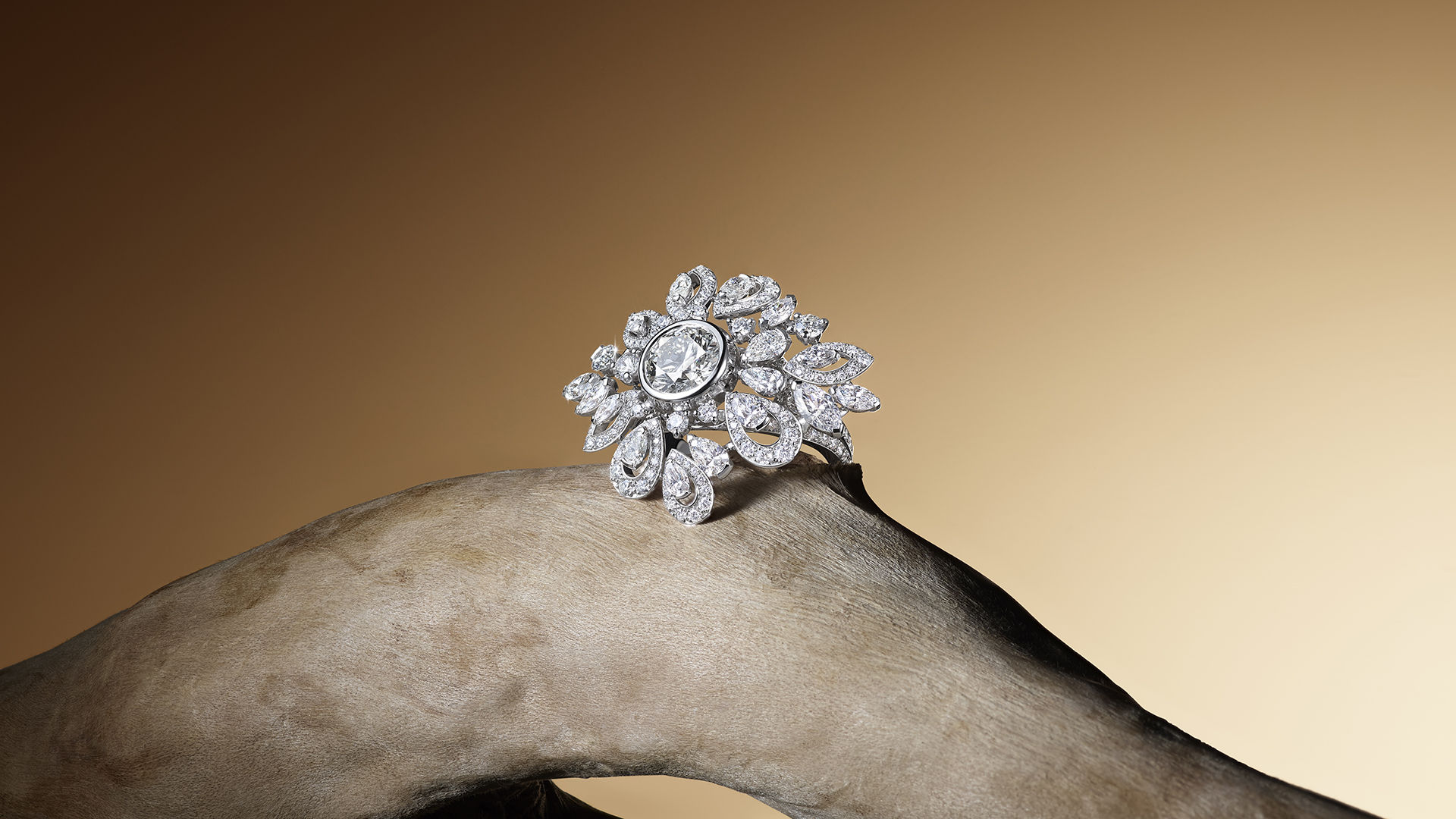 ▲▼ Graff,De Beers            。（圖／公關照）