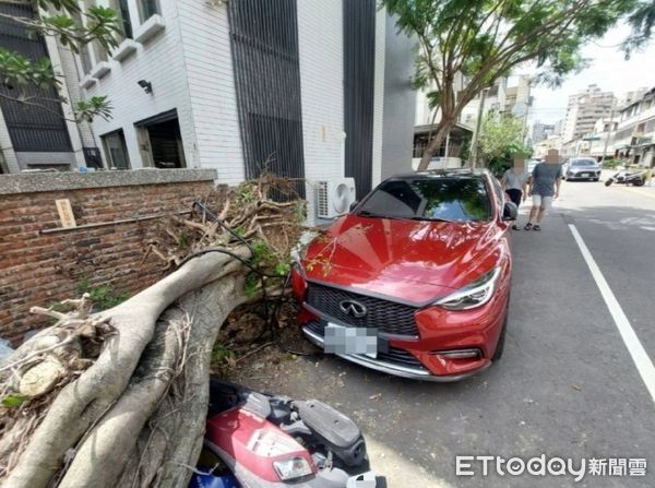 ▲▼台中一棵路樹突然倒塌，橫躺路面壓毀3輛車。（圖／民眾提供，下同）