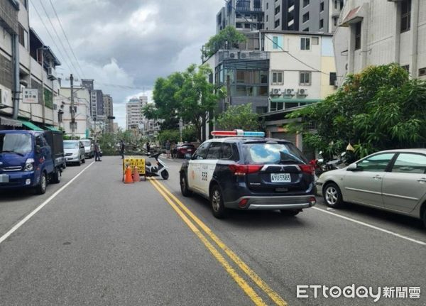 ▲▼台中一棵路樹突然倒塌，橫躺路面壓毀3輛車。（圖／民眾提供，下同）